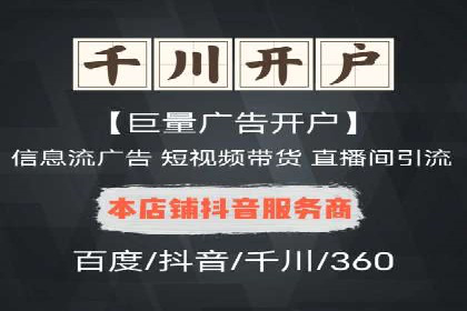 大型SEM服务公司案例分析